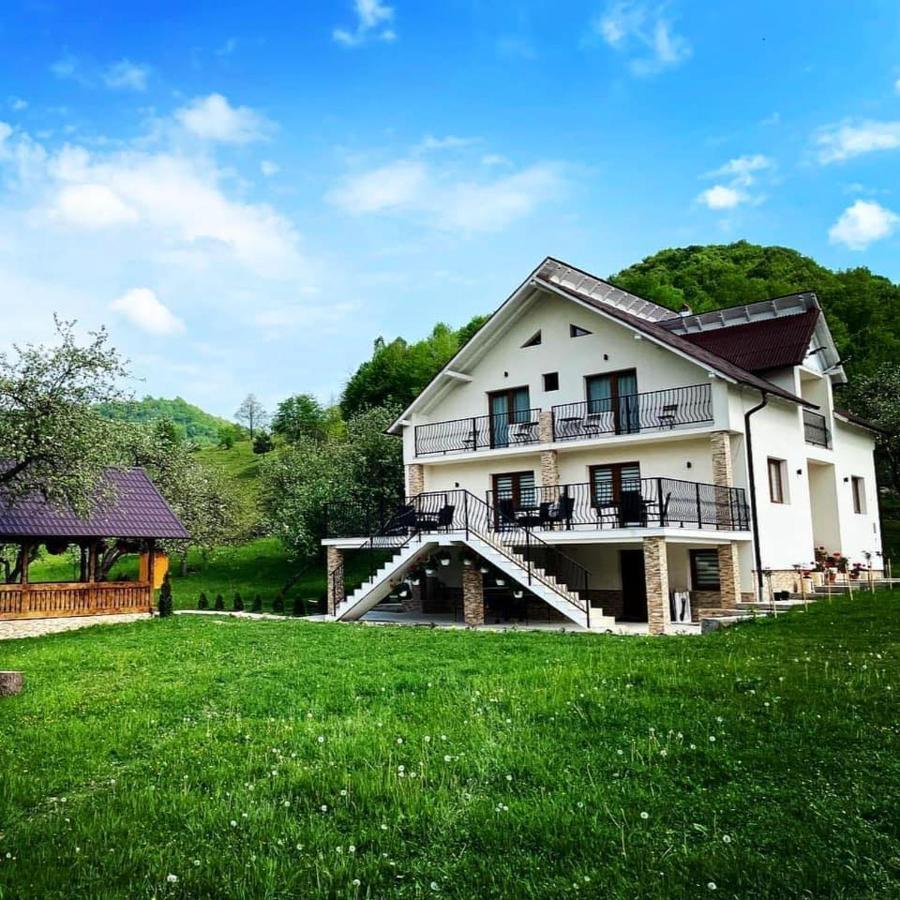 Pensiunea Hai In Maramures Bîrsana 외부 사진